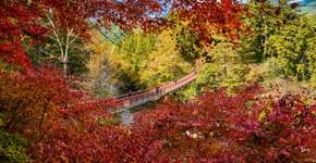 Foto: (Divulgação/TCVB)