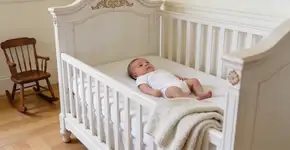 Foto: (Imagem sem texto alternativo disponivel ID [2726414])