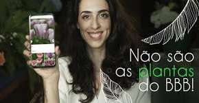 Descubra como usar seu smartphone para identificar plantas e flores