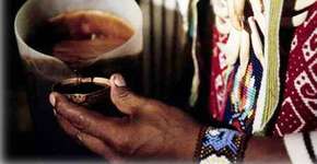 Planta base do ayahuasca pode ajudar no tratamento de Alzheimer