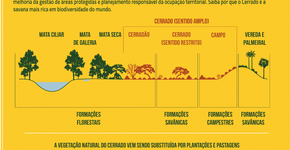 Foto: (Imagem sem texto alternativo disponivel ID [949022])