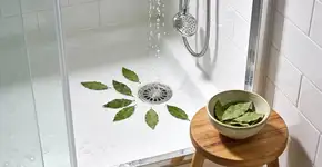 Foto: (Imagem sem texto alternativo disponivel ID [2678238])