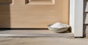 Foto: (Imagem sem texto alternativo disponivel ID [2714262])