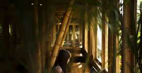 Foto: (Imagem sem texto alternativo disponivel ID [604975])