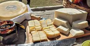 Rota do queijo: 6 destinos que todo queijólatra precisa conhecer