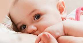 Foto: (Imagem sem texto alternativo disponivel ID [1613771])