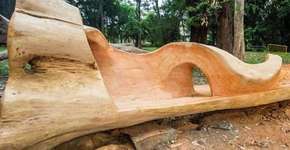 Foto: (Imagem sem texto alternativo disponivel ID [811118])