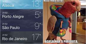 Foto: (Imagem sem texto alternativo disponivel ID [1093100])