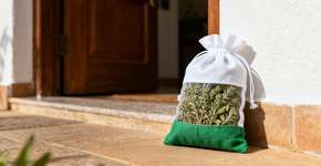 Onde colocar folhas de orégano em casa para atrair dinheiro em novembro, segundo o Feng Shui