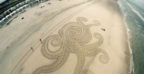 Foto: (Imagem sem texto alternativo disponivel ID [1838516])