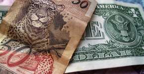 Foto: (Imagem sem texto alternativo disponivel ID [850745])