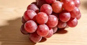 Foto: (Imagem sem texto alternativo disponivel ID [2725007])