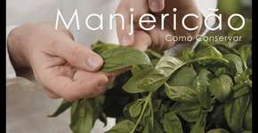 Foto: (Imagem sem texto alternativo disponivel ID [1868062])