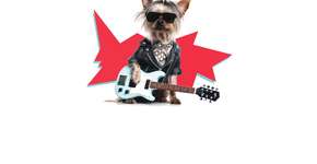 Dogs of Rock transforma Moema em um festival pet-friendly com conscientização