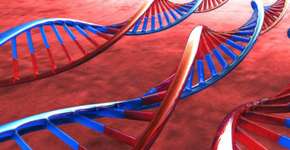 As melhores aulas de genética de graça e online