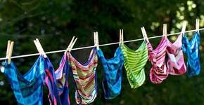 Foto: (Imagem sem texto alternativo disponivel ID [928064])