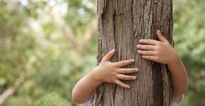 Foto: (Imagem sem texto alternativo disponivel ID [304587])