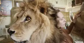 Foto: (Imagem sem texto alternativo disponivel ID [756519])