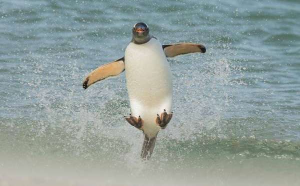 Foto: Tom Way, finalista na categoria 