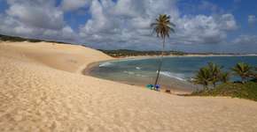 Foto: (undefined undefined/iStock)