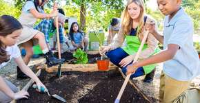 Por que ter uma horta na escola melhora o desempenho dos alunos ?