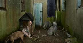 Foto: (Imagem sem texto alternativo disponivel ID [1834681])