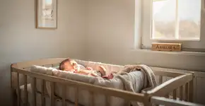 Foto: (Imagem sem texto alternativo disponivel ID [2710513])