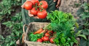 Foto: (Getty Images)