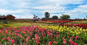 10 lugares no Brasil que imitam a Europa e a Ásia