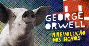 Foto: (Imagem sem texto alternativo disponivel ID [933285])