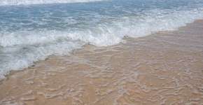 Foto: (Imagem sem texto alternativo disponivel ID [1833640])