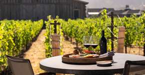 Foto: (Divulgação)