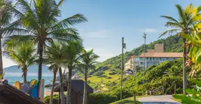 Foto: (Divulgação)