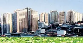 Hortas urbanas ocupam canteiros abandonados de São Paulo