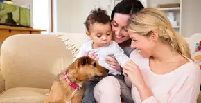 Foto: (Imagem sem texto alternativo disponivel ID [1618138])