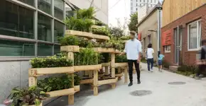 Kit modular facilita a construção de minijardins urbanos