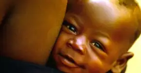 Ciranda de Filmes apresenta sessão especial de <br>‘Bebês do Mundo’ com roda de conversa