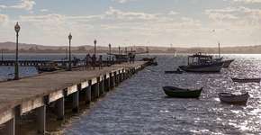 Foto: (Imagem sem texto alternativo disponivel ID [1868727])