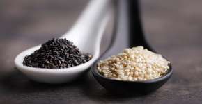 De onde vem o gergelim que comemos? Veja como é a planta que cresce até 2 metros de altura