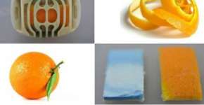 Métodos naturais para espantar o mosquito da dengue