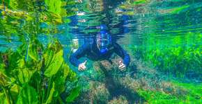 Nascente Azul: tudo sobre a melhor flutuação de Bonito (MS)