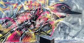 Artista de Rua brasileiro transforma a paisagem urbana com lindos pássaros