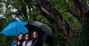 Foto: (Imagem sem texto alternativo disponivel ID [1862809])