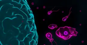 Foto: (sutthiphorn phanchart/istock)