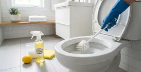 jogue isso na sujeira do vaso: você não vai buscar água sanitária nunca mais
