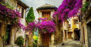 Foto: (Konstanttin/iStock)