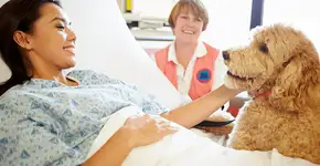 PL autoriza paciente a receber visita de animais em hospitais