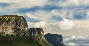 Foto: (jeilson/iStock)