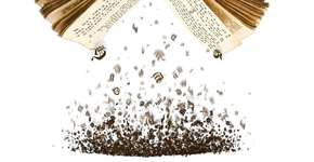 Foto: (Imagem sem texto alternativo disponivel ID [777970])