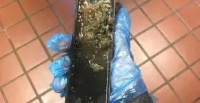 Foto: (Imagem sem texto alternativo disponivel ID [1469637])